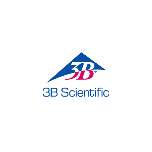 3B Scientific