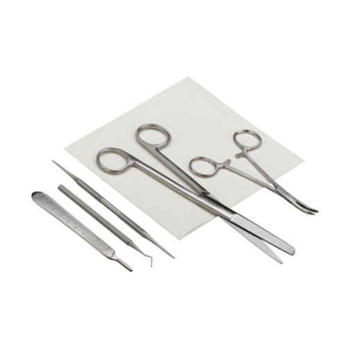 Instrapac Podiatry Debridement Pack x 20