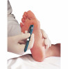 Neuropen Kit